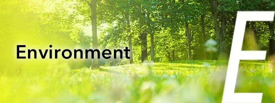 Environment