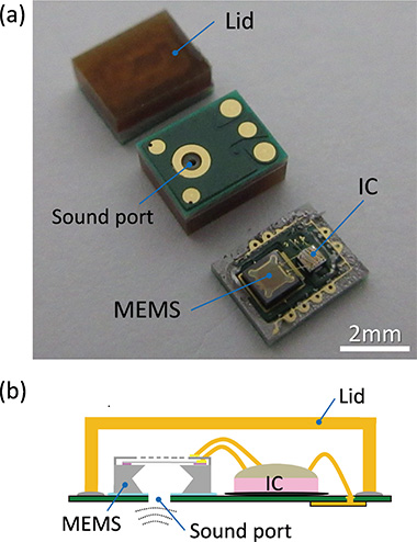 Fig. 1 (a) External appearance of the acoustic sensor module (b) Schematic diagram