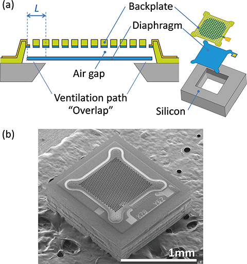 Fig. 2 (a) Schematic view of the MEMS acoustic sensor chip (b) SEM image
