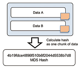 Fig. 6 Generation of MD5 hash