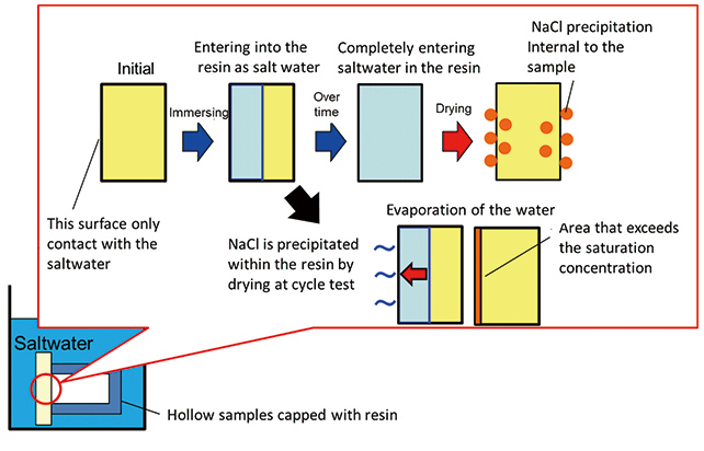 Fig. 9 Saltwater Penetration Behavior