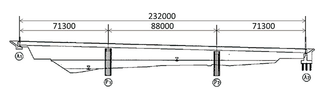 Fig. 5 Bridge for Demonstration (Side View)