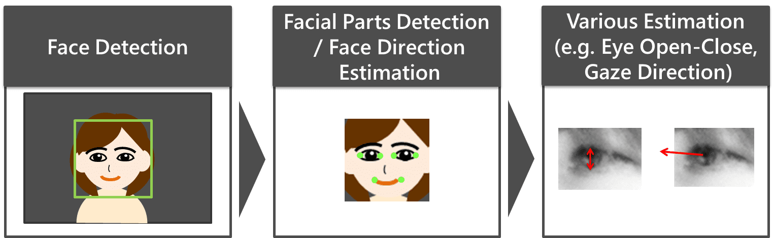 Fig. 1 Flow of facial image sensing technology