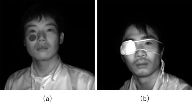 Fig. 11 Typical images from Experiment Cases A (a) and B (b)