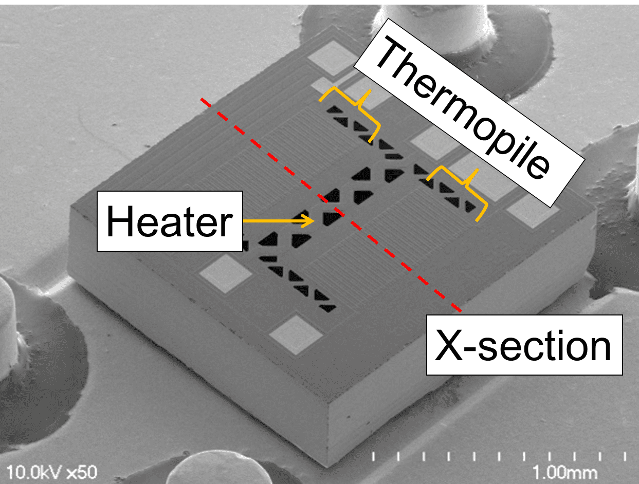 Fig. 1 External view of the sensor chip