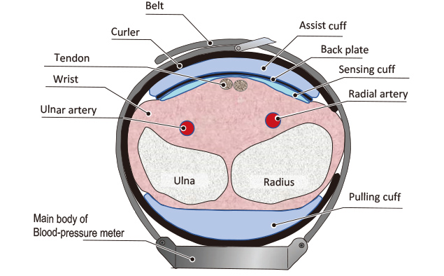 Cuffless Blood Pressure Monitors: Principles, Standards and Approval for  Medical Use