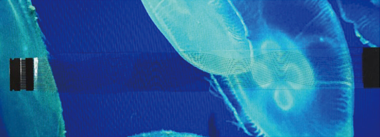 Fig. 20 Photograph of transparent FPC put on LCD