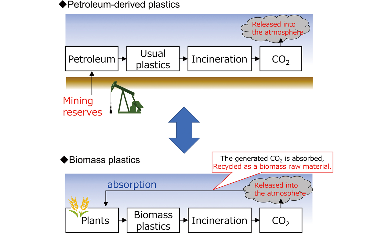 Fig. 2 Petroleum-derived plastics vs. biomass plastics