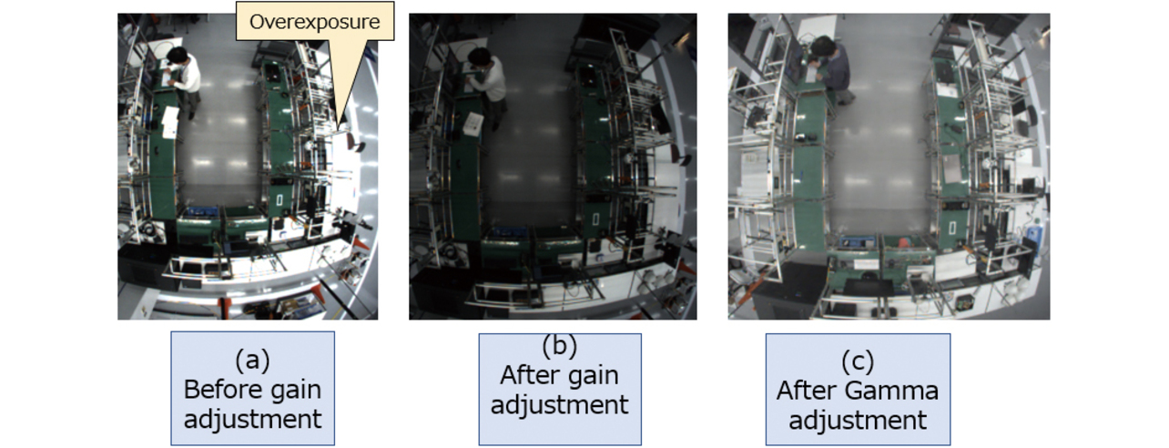 Fig. 3 Gain adjustment and gamma correction
