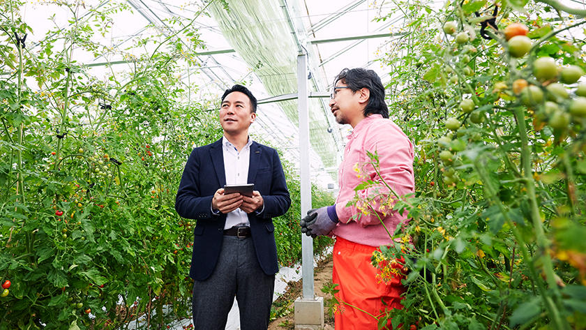 Open Innovation sheds new light on agriculture