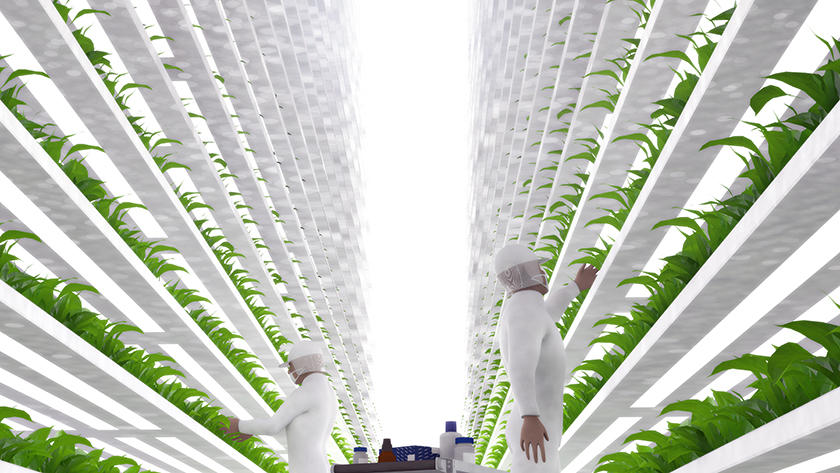 Tackling the Food Crisis with a Borderless Collaboration