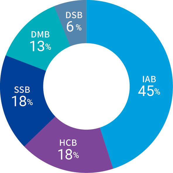 IAB: 45%, HCB: 18%, SSB: 18%, DMB: 13%, DSB: 6%