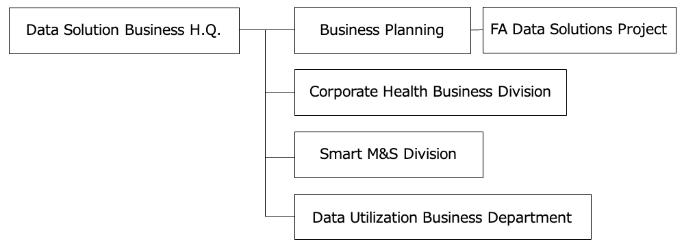 Data Solution Business Headquarters Organization Chart