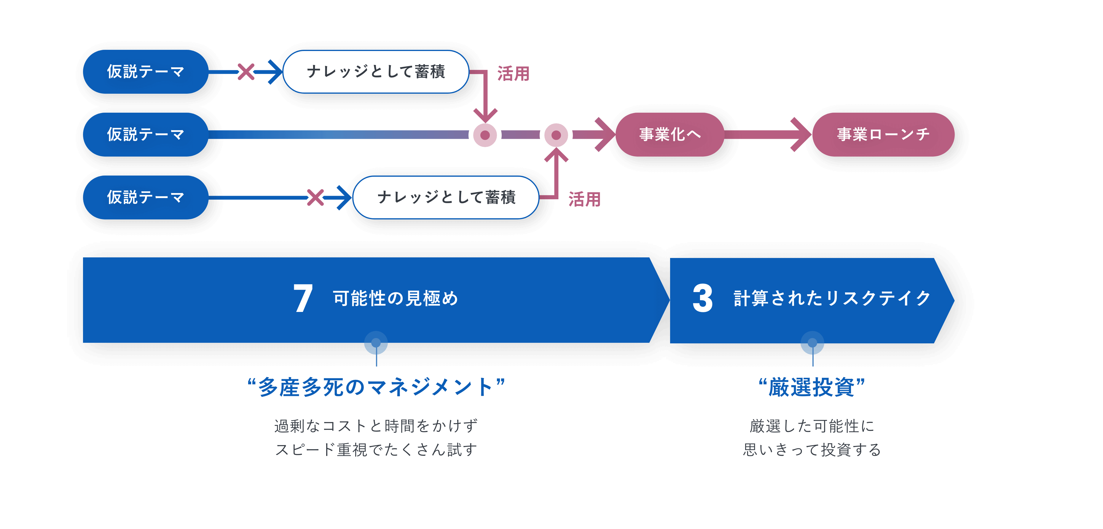 7:3の原理を実践し、多くの事業機会をスピーディに検証するトライ＆ラーンをナレッジとして蓄積