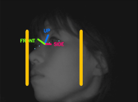 図6 横顔に対する顔検出結果