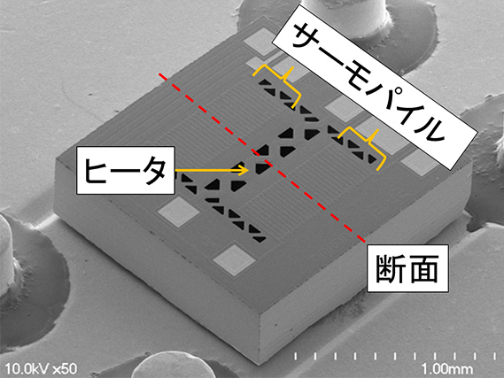 図1 センサチップ外観