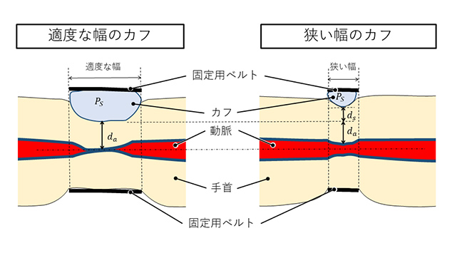 図2　カフ幅のカフ内圧への影響