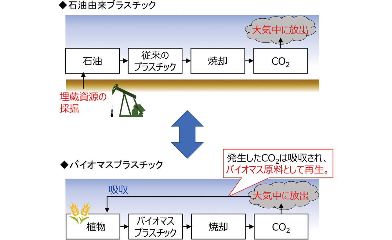 図2 石油由来プラスチックとバイオマスプラスチックの比較