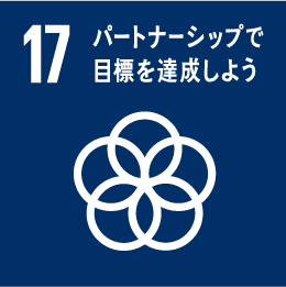 SDGs ゴール17.16