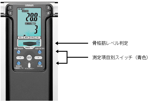 骨格レベル判定