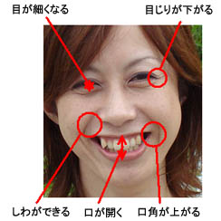 顔に現れる笑顔の特徴（一例）