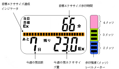 歩行目標達成度合い、歩行強度表示画面