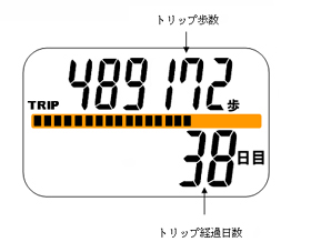 トリップ歩数表示画面