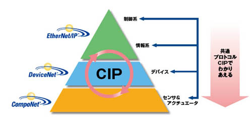 CIP