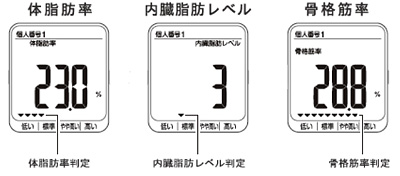 体脂肪率、骨格筋率、内臓脂肪レベルを細かく判定