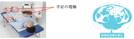 除脂肪面積を算出