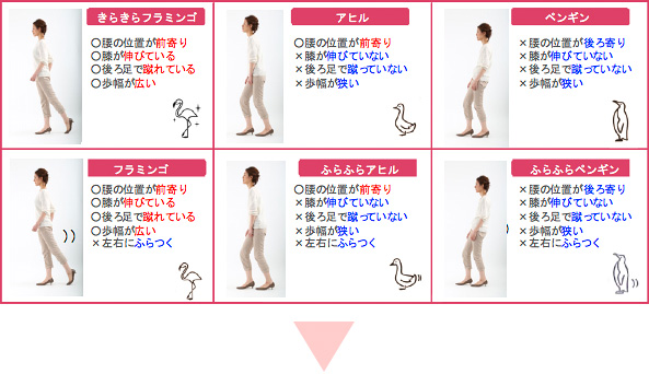 【歩行姿勢分類方法】