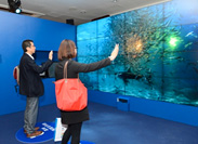 多数の機械が全体調和「イワシ魚群トルネード」