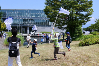 自然観察会でのトンボ採取
