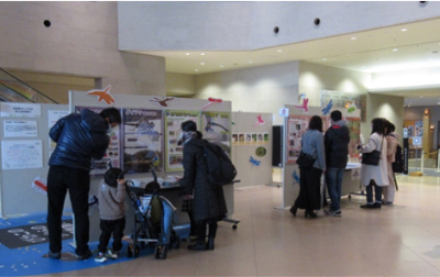 琵琶湖博物館での活動報告展示
