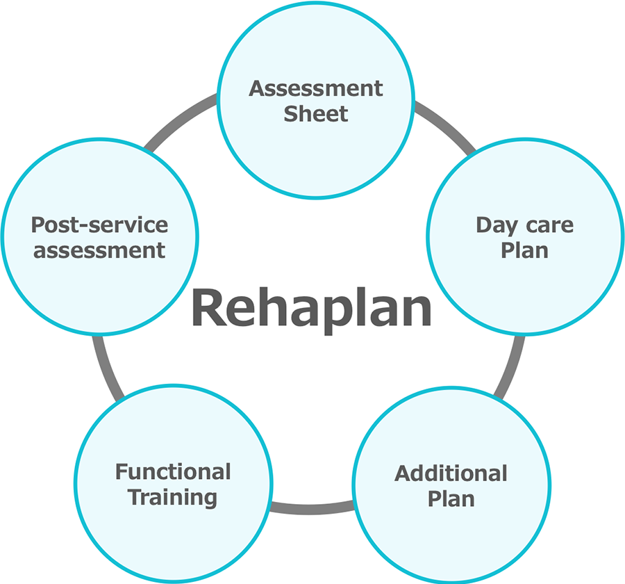 (Rehaplan)Assessment Sheet, Post-service assessment, Functional Training, Additional Plan, Day care Plan