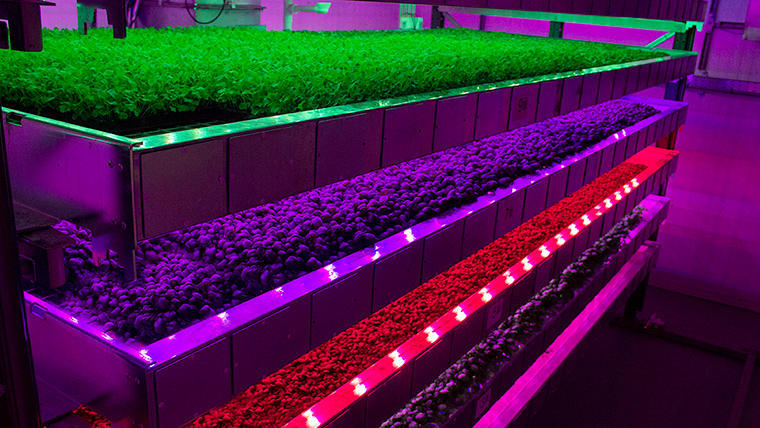 農業の抱える課題を解決する「マシンコンセプトの成長タワー」